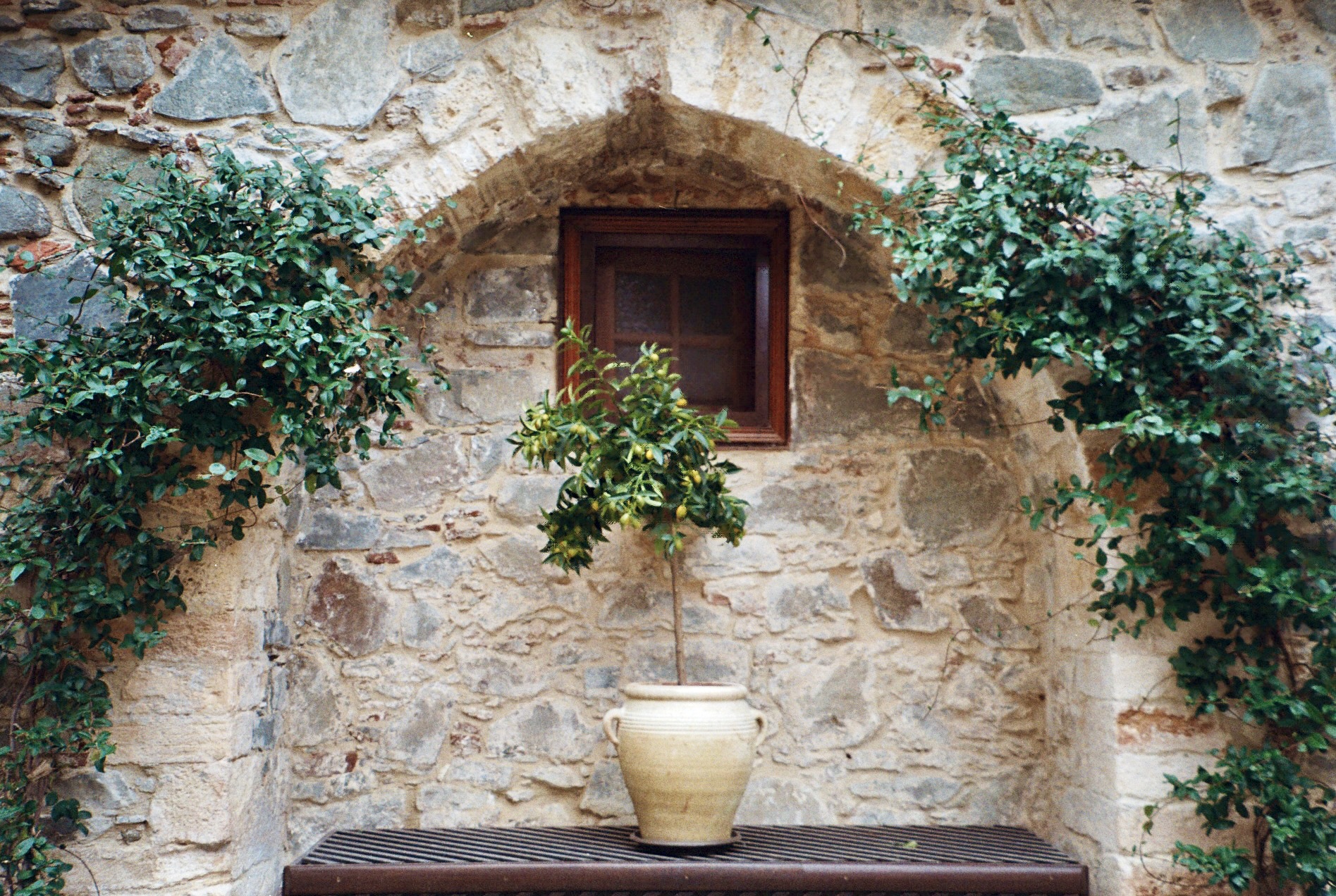 Photograph by Ema Prović